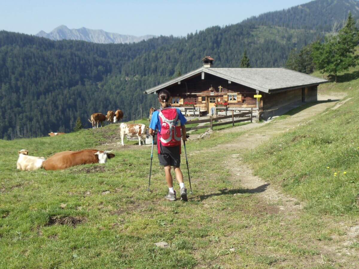 Bayerische Alpen_Alm_Wanderer_1.jpg